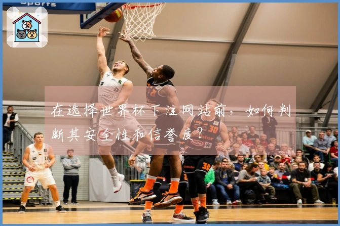 在选择世界杯下注网站前，如何判断其安全性和信誉度？